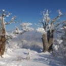 새하얀세상 이미지