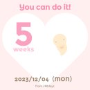 워크인WALKIN | 캐나다 벤쿠버 임신 기록_ 타임라인 5주~12주