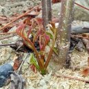 호구농장 이미지