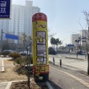 콩심 강제점 이미지
