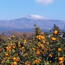 윤정농장 이미지