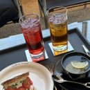 윌로우목장 이미지