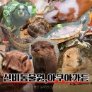 아쿠아트리 - 강남구 삼성로103길 32 | [가평] 데이트, 아이와 가볼 만한 곳 :: 신비동물원/아쿠아가든 체험 후기