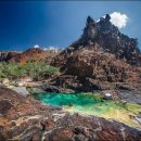 유네스코 자연유산 예멘 소코트라 (Socotra Island) 이미지