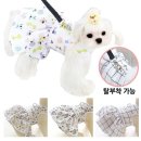 도그니엘 이미지