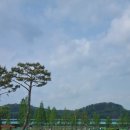 금호파크장 이미지