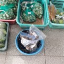 신도바다역 이미지