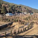 고성군 3 이미지