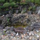 단종 어수정 이미지