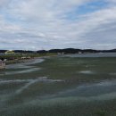 옥구저수지 이미지