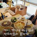 pet57라7701 | 맛집] 애견의자 생겨서 폼 미쳐버린 뽁식당 행궁동점! 내돈내산 솔직후기 (feat. 연무동 주차 꿀팁) 🐾