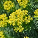 제주 올레길 6코스 이미지