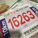 채운3통마을회관 | 영암벚꽃마라톤 10KM 후기