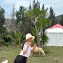 양떼가든 | [나트랑 신혼여행 5박7일] 4일차_판랑사막,포롱자이사원,탄욜리양떼목장,씀모이가든