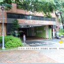 숲속자연앤데시앙 Daum카페