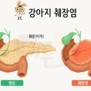 쌀강아지 이미지