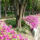 협화경로당 이미지