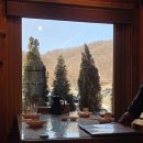 자연과 콩 | [안양/인덕원 맛집] 고소함의 끝판왕! 건강한 두부 요리 전문점 '자연콩' 방문 후기 🍲✨