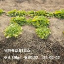 🤠23/02/02일(목) 남파랑길 제18회 첫째날 "51.52구간 (광양~여천)" 이미지