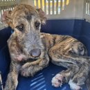 항도초등학교 이미지