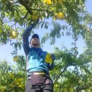 경환농장 이미지