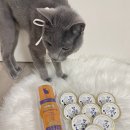 (주)인섹트바이오텍 이미지