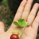 유창농장 이미지