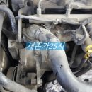 세존카25시 이미지