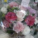 푸릇(fruitt) 이미지