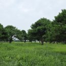 월호평길 이미지