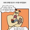 뽀모도로 이미지
