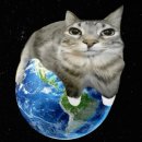 광화문이층약국 | 고마웠어요에 구를 두번 넣으면 고구마구웠어요