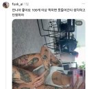 타투 때문에 용궁사 법당 출입 거부당한 사람 해명 이미지