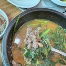 샘골흑염소