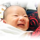 하진목장 이미지