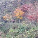영진빵구