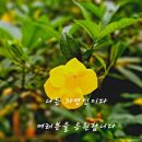 춘천임업