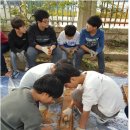 협동조합 아리송 이미지