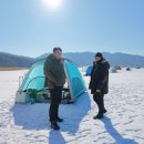 씨알소프트 | 얼음두께 실화? 춘천 지촌리 빙어낚시 후기 (봄그리농원 주차, 2026년 1월)