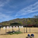 플레이그라운드 | 홍천 애견동반 여행 비발디파크 소노펫 2탄 - 플레이그라운드 이용후기