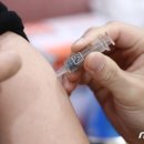 70대 여성도 독감 백신 접종 하루 만에 숨져…사인 확인중(논평) 이미지