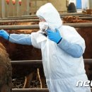 충주축협동물병원 이미지