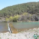 유곡면 운동장 이미지