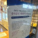 빵굽는곰 이미지