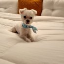 다모아탑공인중개사사무소 이미지