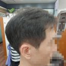 포맨남성컷트 이미지