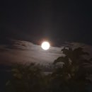 하늘슈퍼 - 단양군 | 하늘슈퍼