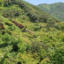 지리산정원 이미지