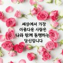 가는세월/서유석 이미지