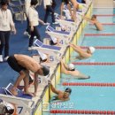 종합경기장(지체장애인협회) | 물속에서 찾은 완벽한 자유! 🏊‍♀️ 장애인 수영, S1부터 S15까지 싹-다 정리 🌊✨